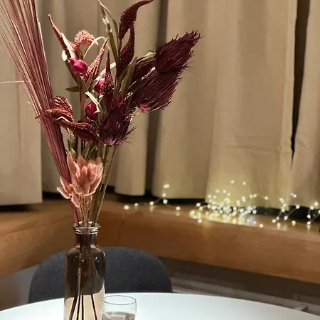 Le Grimaldi Appartement *